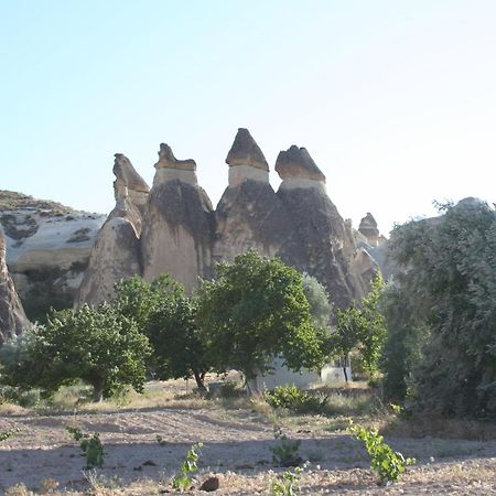 Anatolia Cave Hotel Pension Göreme Exterior foto